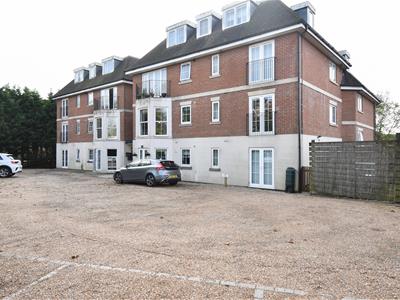Picture 14